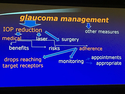 Glaucoma Management - VERTE Oftalmología Barcelona