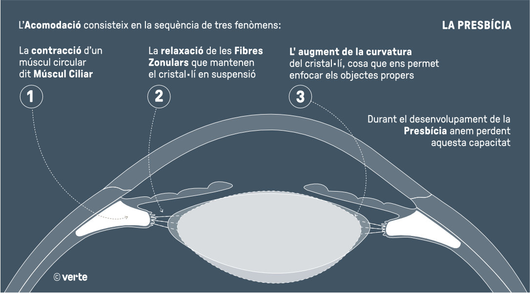 Presvicia - Vista cansada - VERTE Oftalmología Barcelona